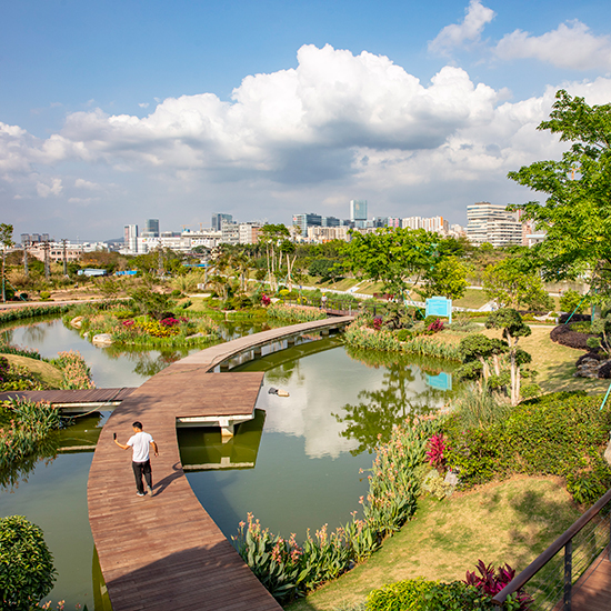 茅洲河（光明新區）水環境綜合整治工程項目（水景觀工程設計采購施工項目總承包）EPC
